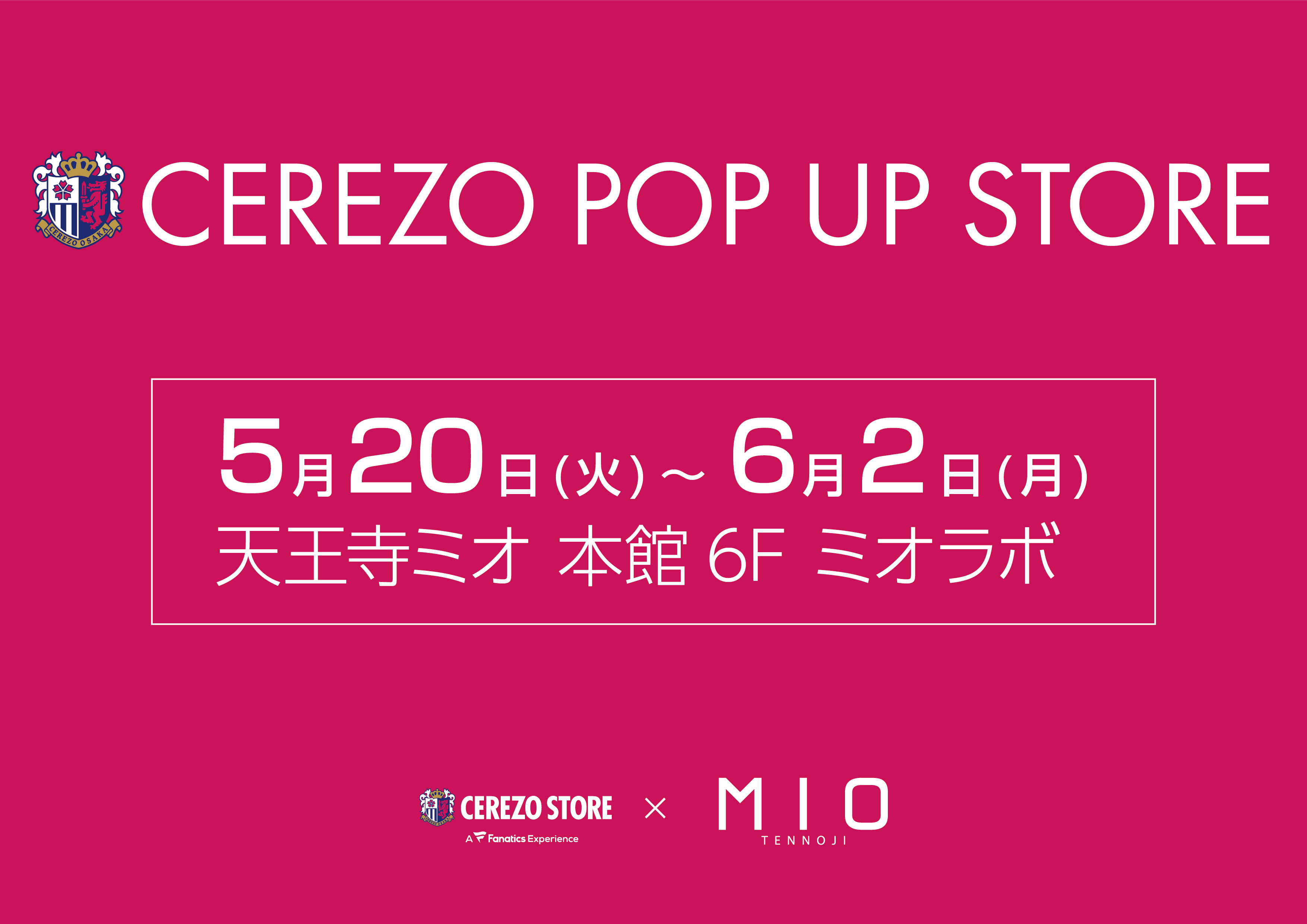 原神 スタレ ゼンゼロ 福岡 ポップアップ POPUP 2025 60枚セット